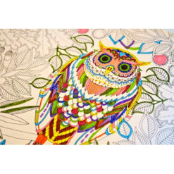 Secret Garden Coloring Book for Adults by Garden of Alice